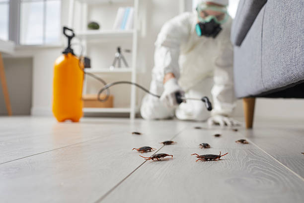 Commercial Kitchen Cockroach Control in Spring Lake Heights